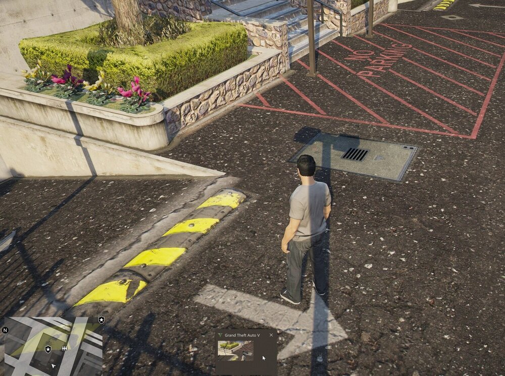 Could contain: outdoor, ground, plant, footwear, flower, clothing, street