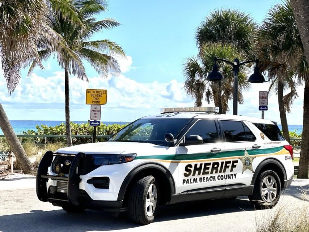 Could contain: land vehicle, vehicle, outdoor, wheel, text, sky, transport, car, tree, tire, police car, bumper, law enforcement, full-size car, auto part, sport utility vehicle, palm tree, vehicle registration plate, automotive exterior, police, ford