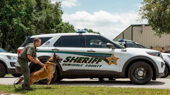 Could contain: outdoor, land vehicle, vehicle, animal, wheel, law enforcement, police car, tire, dog, transport, automotive exterior, text, grass, car, police, mammal