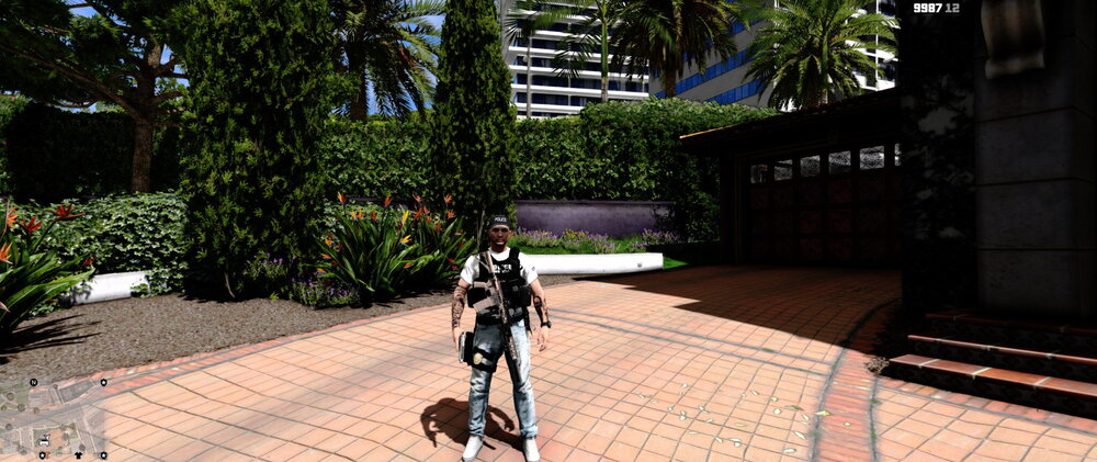 LSPDFR_Screenshot_2.jpg