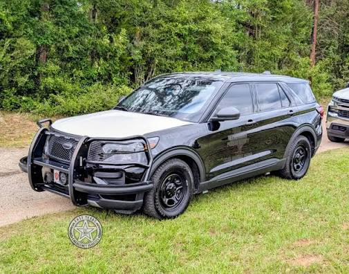 Could contain: vehicle, land vehicle, wheel, outdoor, tire, bumper, grass, tree, sport utility vehicle, grille, auto part, car, transport, compact sport utility vehicle, range rover, automotive exterior, land rover, crossover suv, automotive tire, fender, general motors, automotive design, parked, suv, jeep
