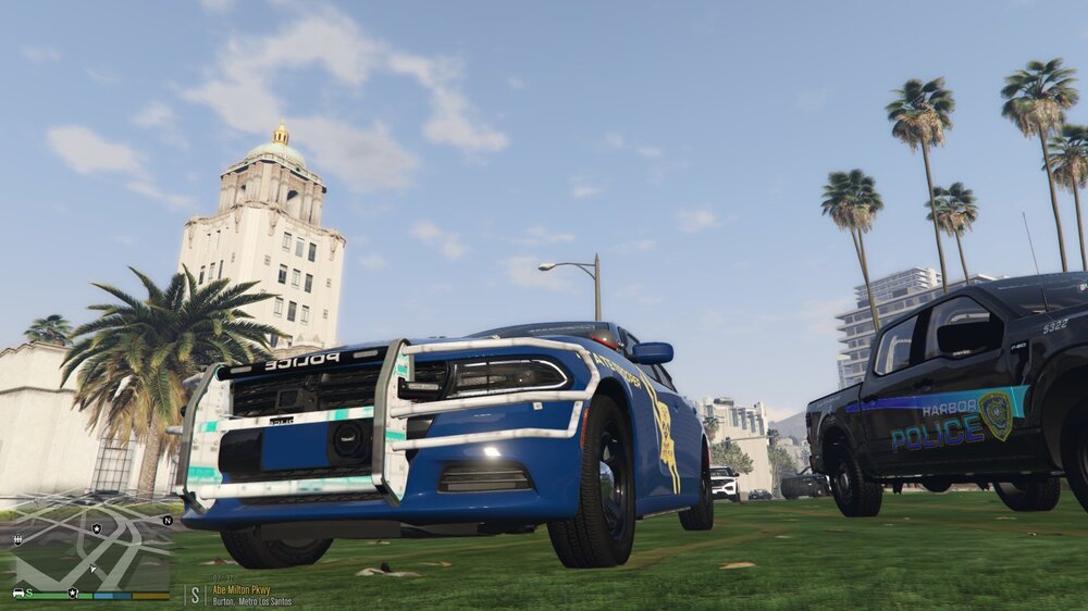 Could contain: sky, vehicle, outdoor, land vehicle, wheel, tire, car, blue, palm tree, grass, palm, van, parked