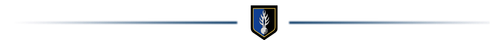 STATISTIQUES - SANCTIONS DISCIPLINAIRES (1300 × 41 px) (500 x 40 px).png